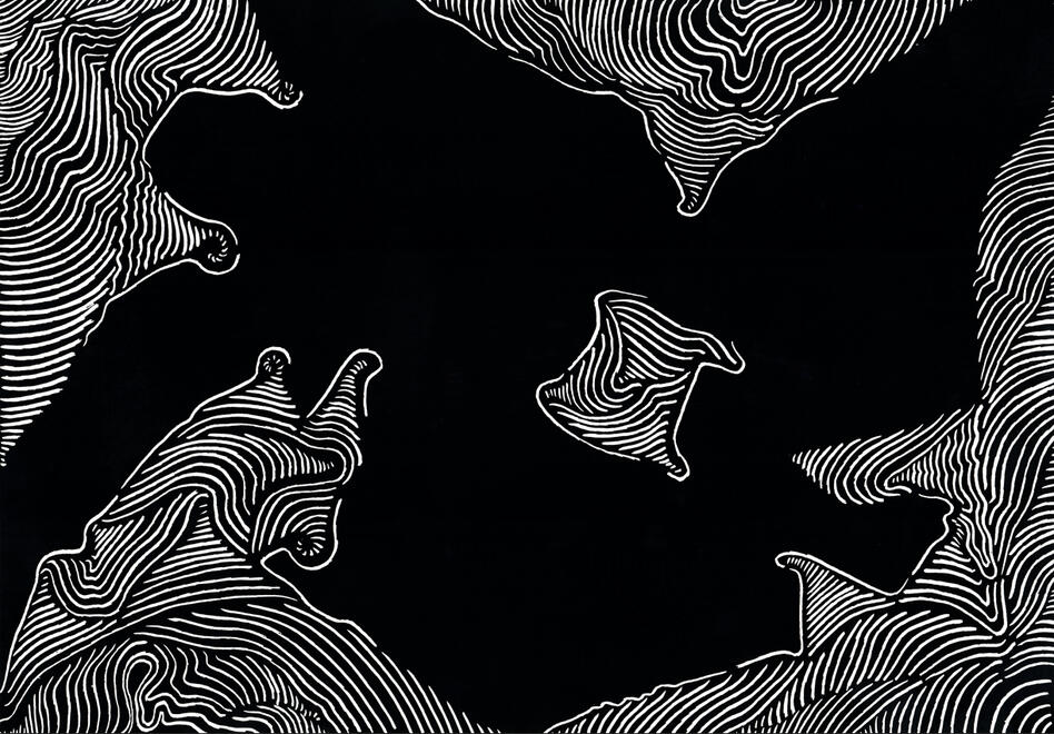 WIGGLE TOPOGRAPHY