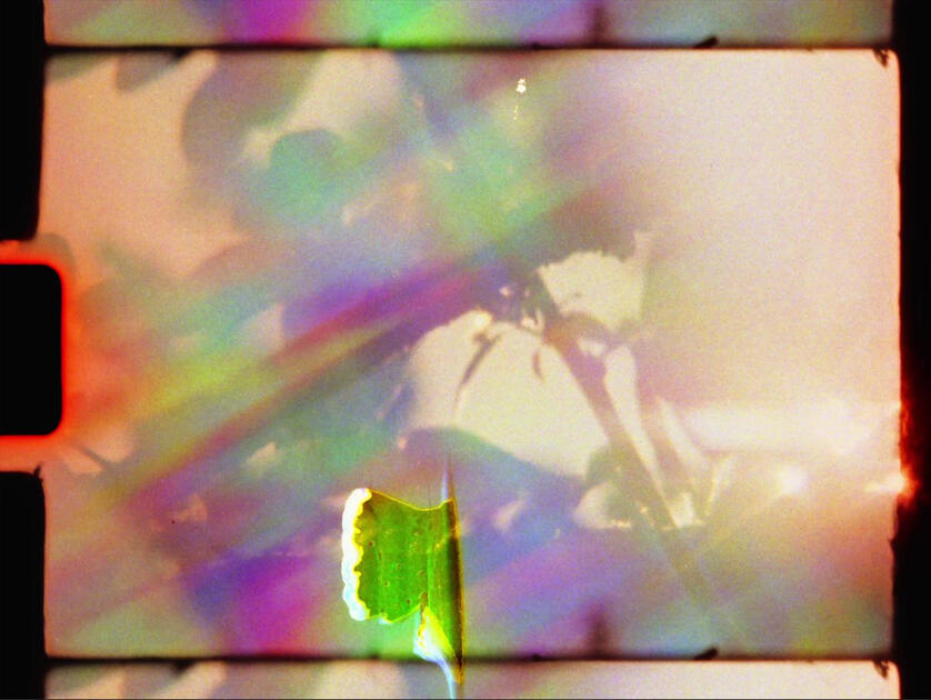 Super 8 Still