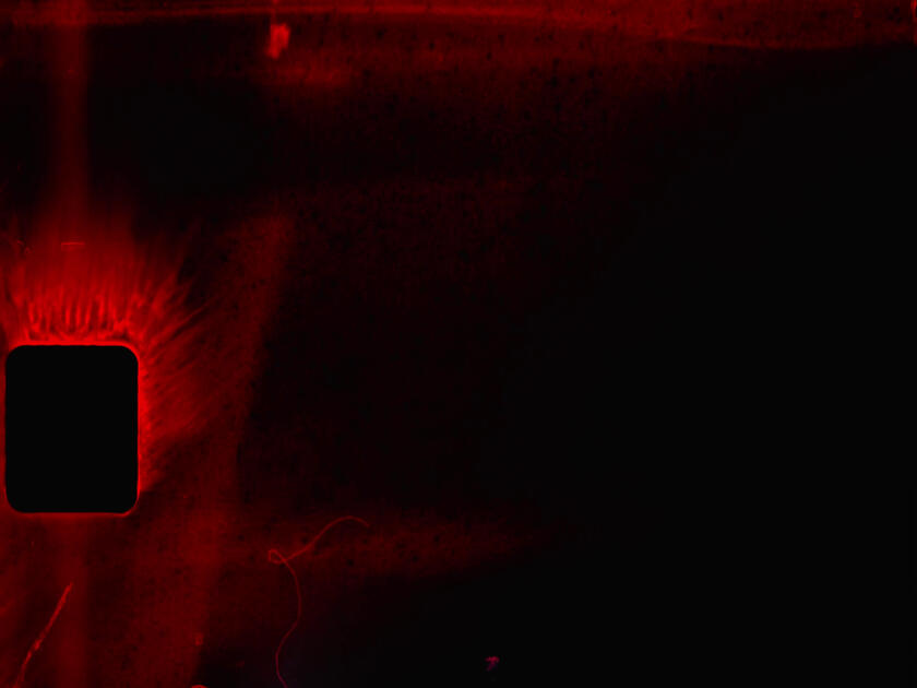 Super 8 Still