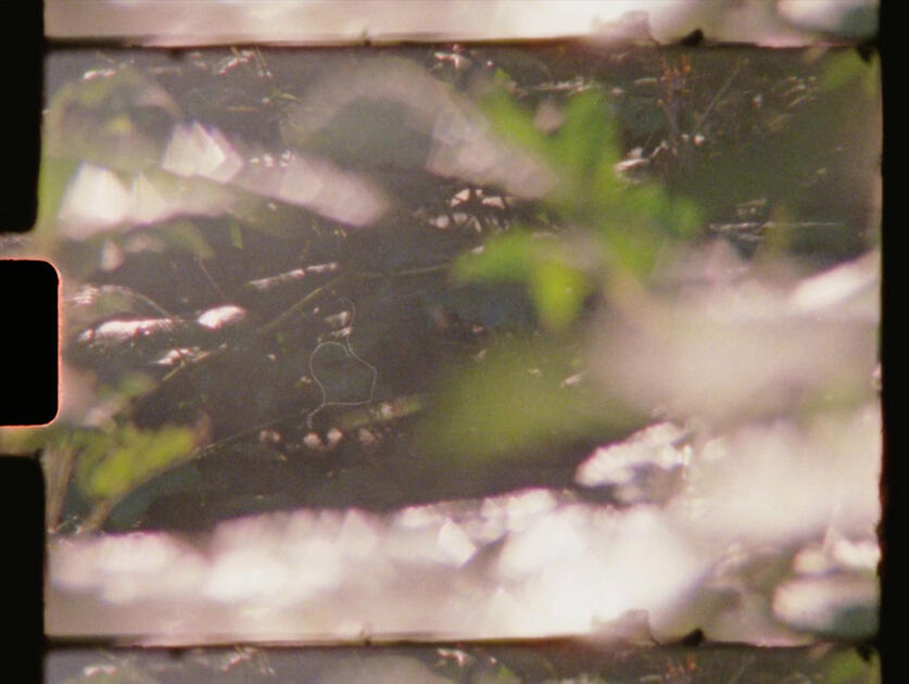 Super 8 Still