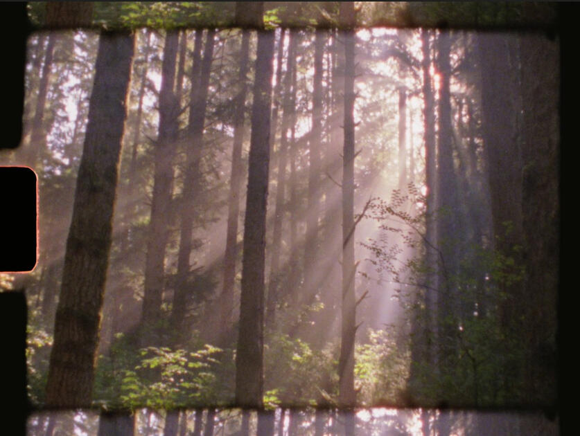 Super 8 Still